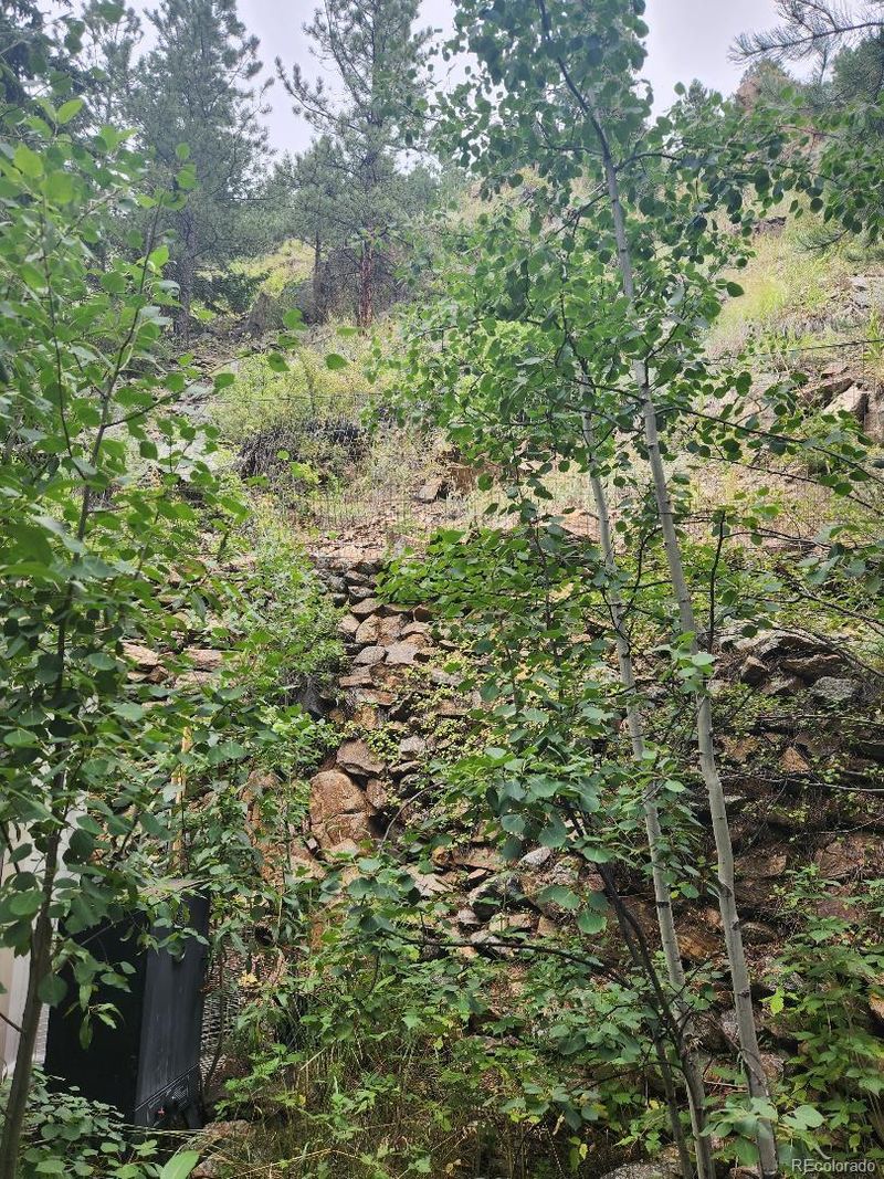 4488 Chicago Creek 103 Squaw Ps, Idaho Springs, CO 80452