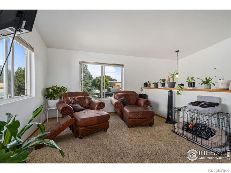 3919 Lincoln Ct, Wellington, CO 80549