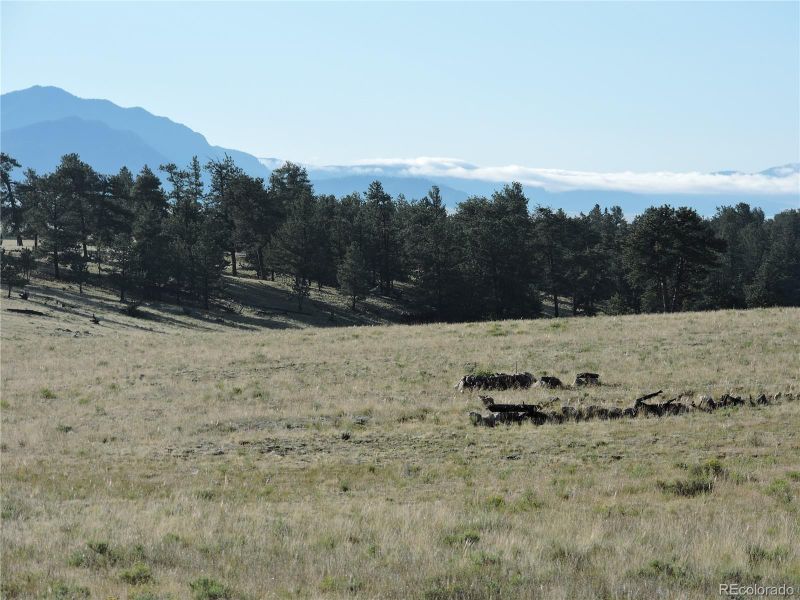 116 Sunset Crater Vw, Hartsel, CO 80449