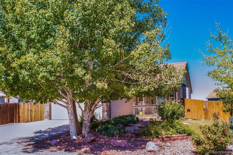 8226 Pinegate Dr, Colorado Springs, CO 80925
