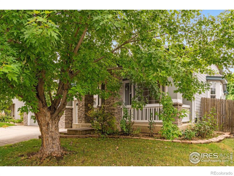 2905 Prince Cir, Erie, CO 80516