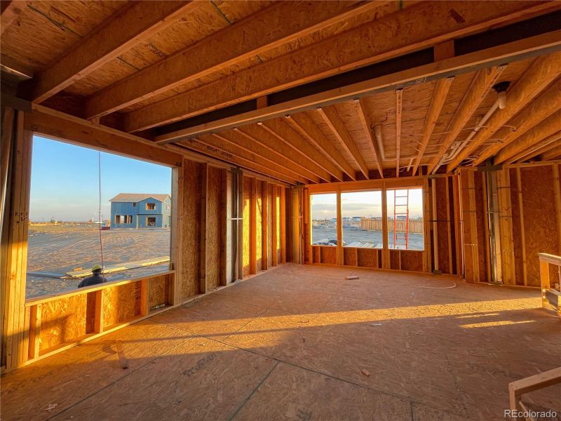 5535 Runge Ct, Timnath, CO 80547