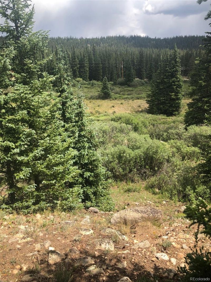 233 Creek Ct, Fairplay, CO 80440