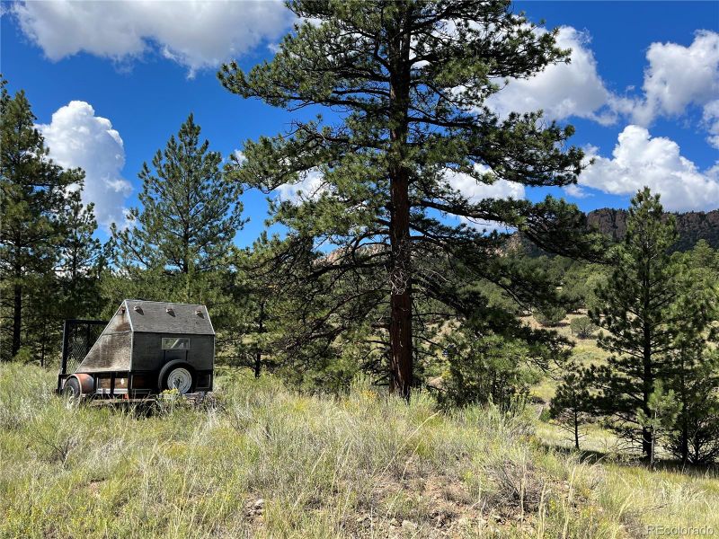 714 Ferris Dr, Westcliffe, CO 81252