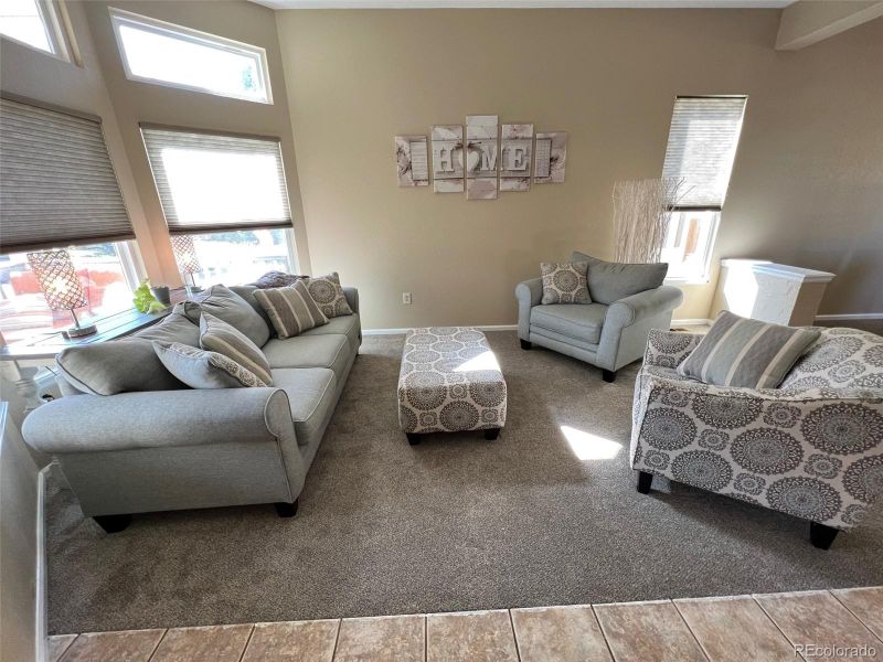 21809 Saddlebrook Dr, Parker, CO 80138