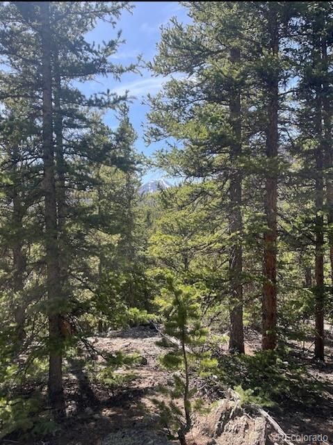 1141 County Road 698, Alma, CO 80420