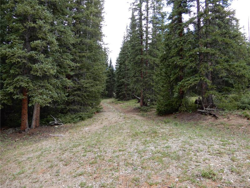 4190 County Road 4, Alma, CO 80420