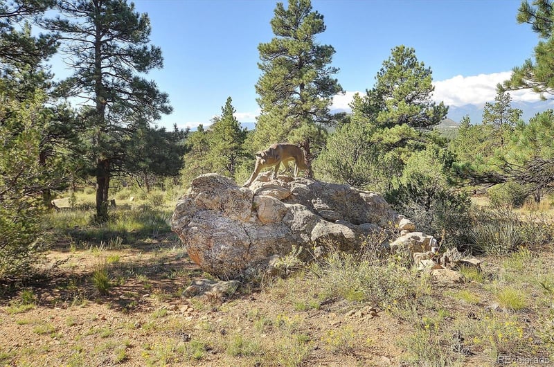 1600 Riggs Rd, Westcliffe, CO 81252