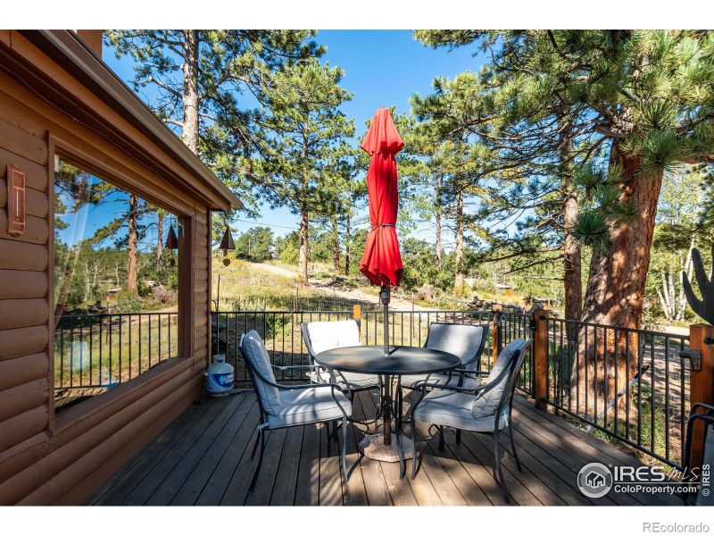 43 Minnehaha St, Red Feather Lakes, CO 80545
