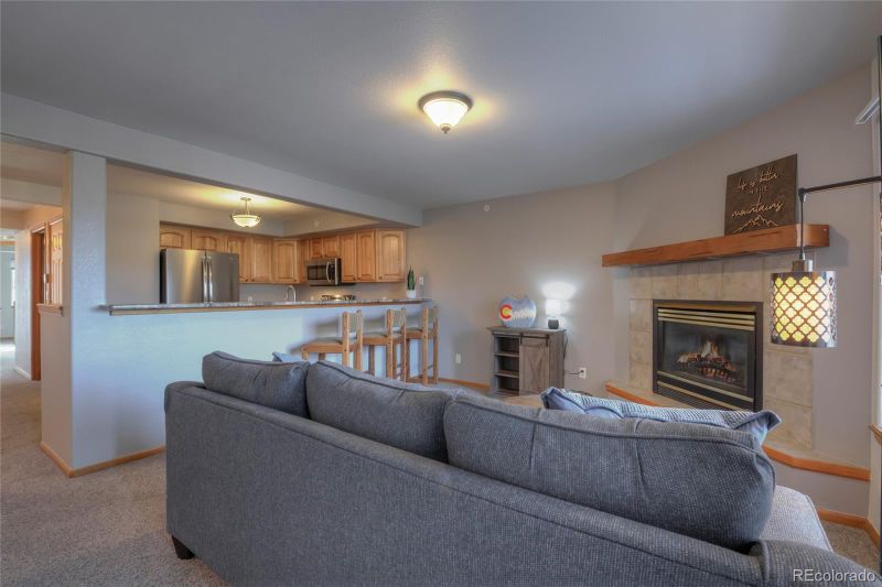 4030 Silverheels Dr #15, Silverthorne, CO 80498