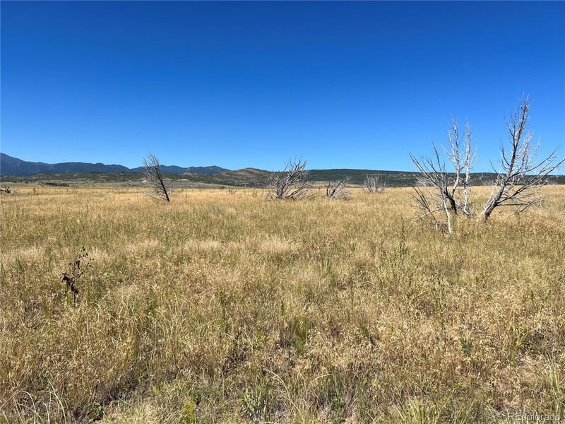 0 Good Pasture Dr Lot 15, Beulah, CO 81023