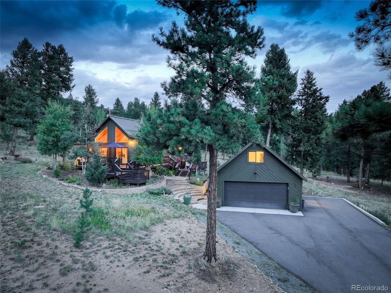 113 Bad Bandit Ct, Bailey, CO 80421