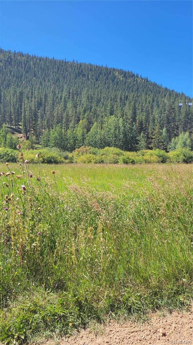 142 Bishop Rd, Bailey, CO 80421