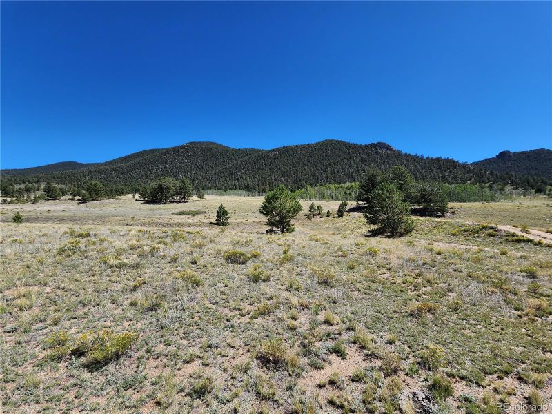 2585 Garfield Rd, Hartsel, CO 80449