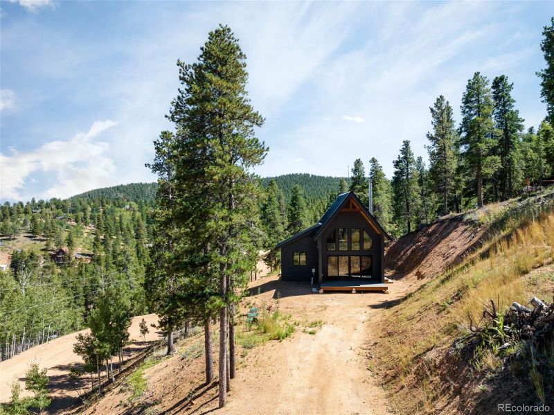 562 Gold Flake Ter, Bailey, CO 80421