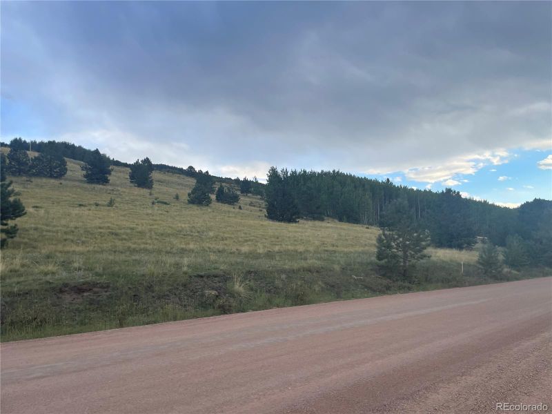 878 Anges Dr, Cripple Creek, CO 80813