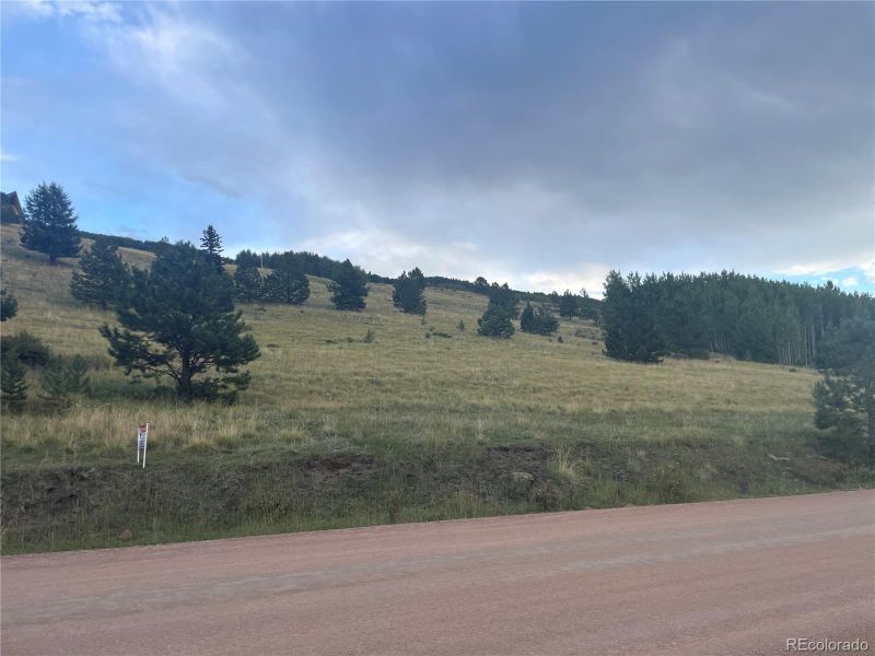 878 Anges Dr, Cripple Creek, CO 80813
