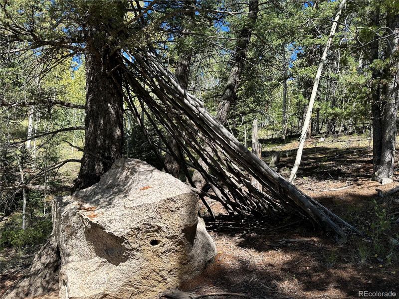 1233 Yorktown Rd, Cripple Creek, CO 80813