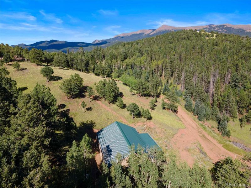 145 Nightingale Ln, Cripple Creek, CO 80813