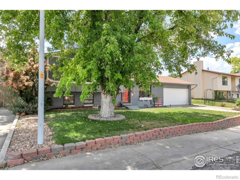 1704 E 97th Dr, Thornton, CO 80229