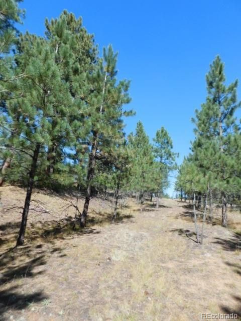 4525 Delaware Dr, Larkspur, CO 80118