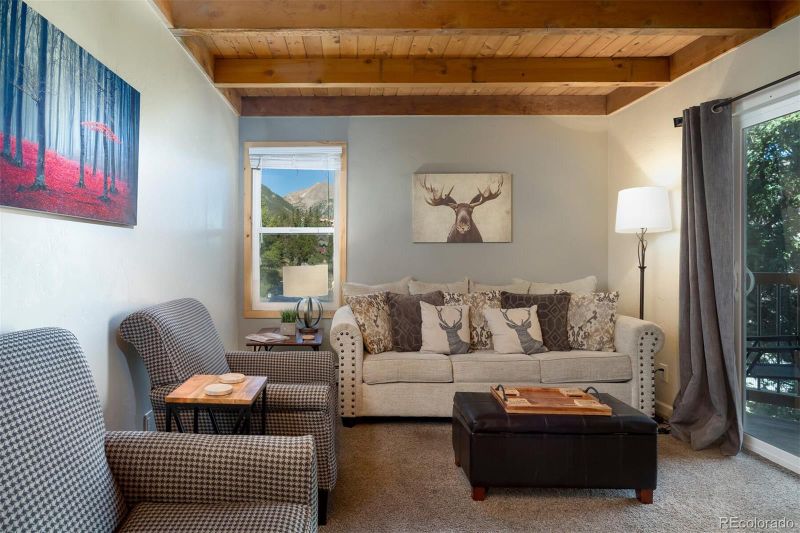 4400 Lodge Pole Cir #208, Silverthorne, CO 80498