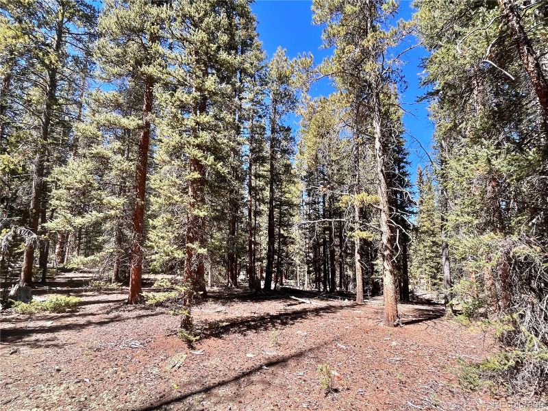 110 Gold Pan Ln Lot 567-569, Fairplay, CO 80440