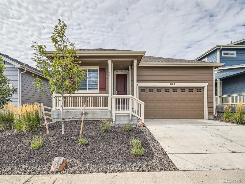 2162 Abigail Ln, Castle Rock, CO 80104