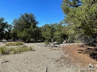 15 Mill Run Rd Lot 2 & 3, Mosca, CO 81146