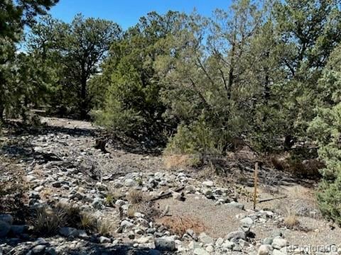 15 Mill Run Rd Lot 2 & 3, Mosca, CO 81146