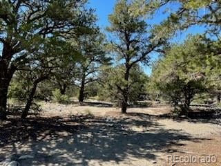15 Mill Run Rd Lot 2 & 3, Mosca, CO 81146