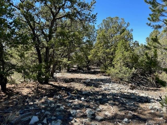 15 Mill Run Rd Lot 2 & 3, Mosca, CO 81146