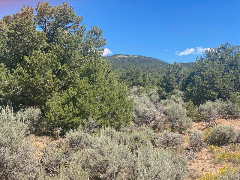 Charles Ave, San Luis, CO 81152