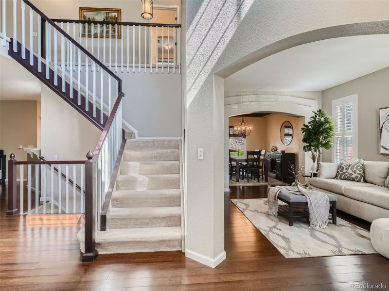 10510 Mount Columbia Pl, Parker, CO 80138