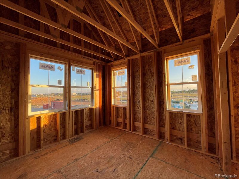 5482 Euclid Dr, Timnath, CO 80547