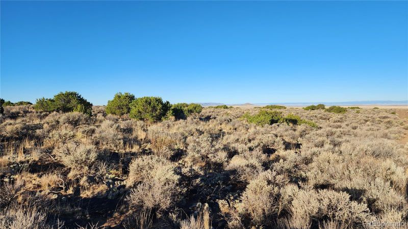 Lot 5 24th St, Blanca, CO 81123