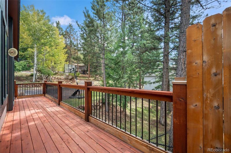 1158 Forest Hill Rd, Woodland Park, CO 80863