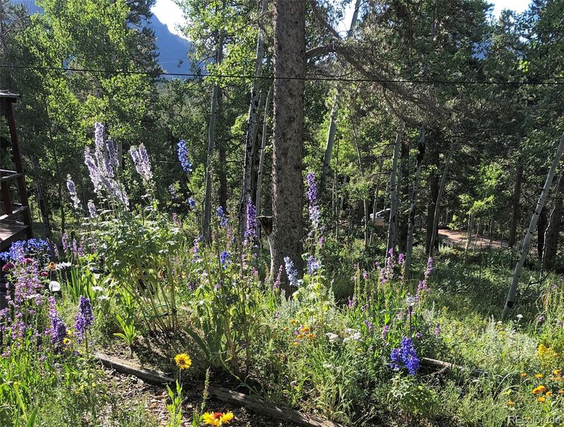 572 Morning Star Cir, Black Hawk, CO 80422