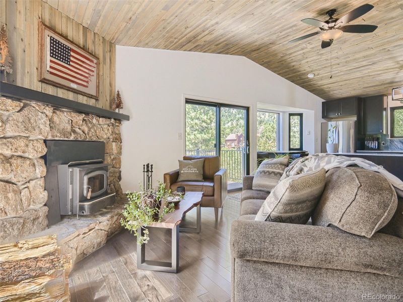 163 Silver Springs Rd, Bailey, CO 80421