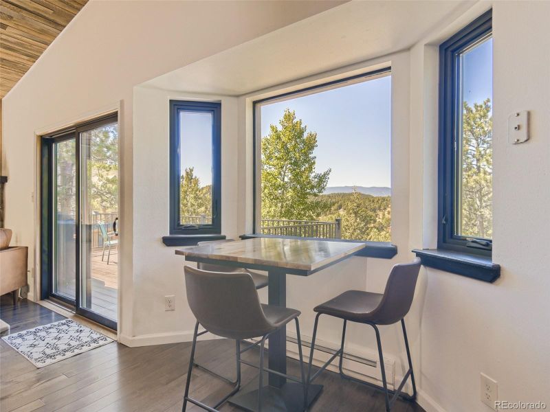 163 Silver Springs Rd, Bailey, CO 80421
