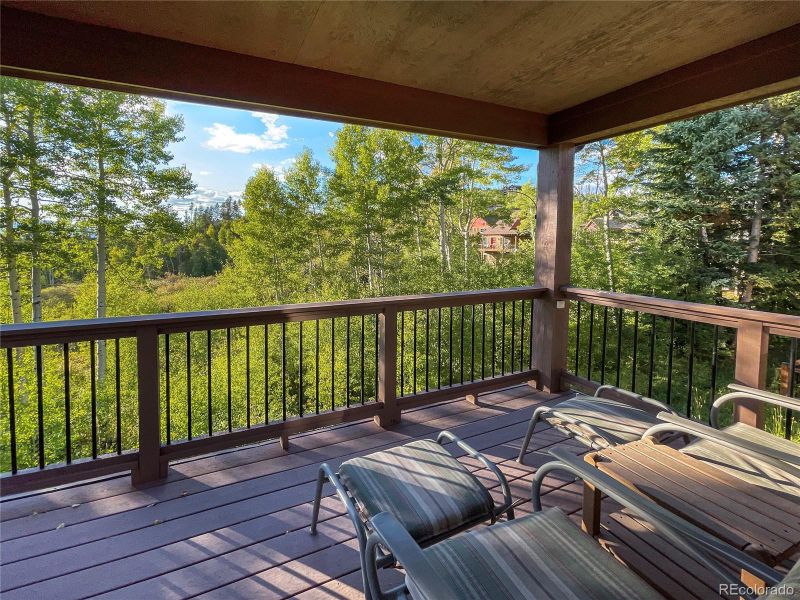 67 Wildflower Ln, Fraser, CO 80442