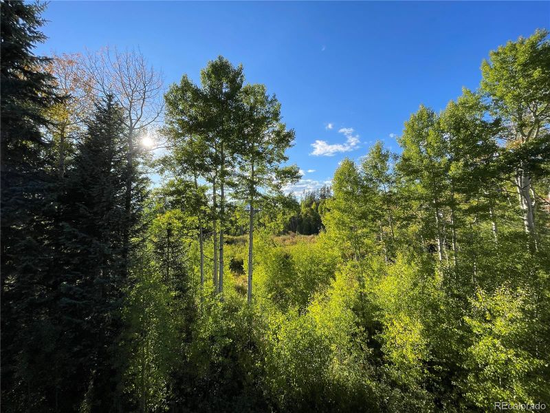 67 Wildflower Ln, Fraser, CO 80442