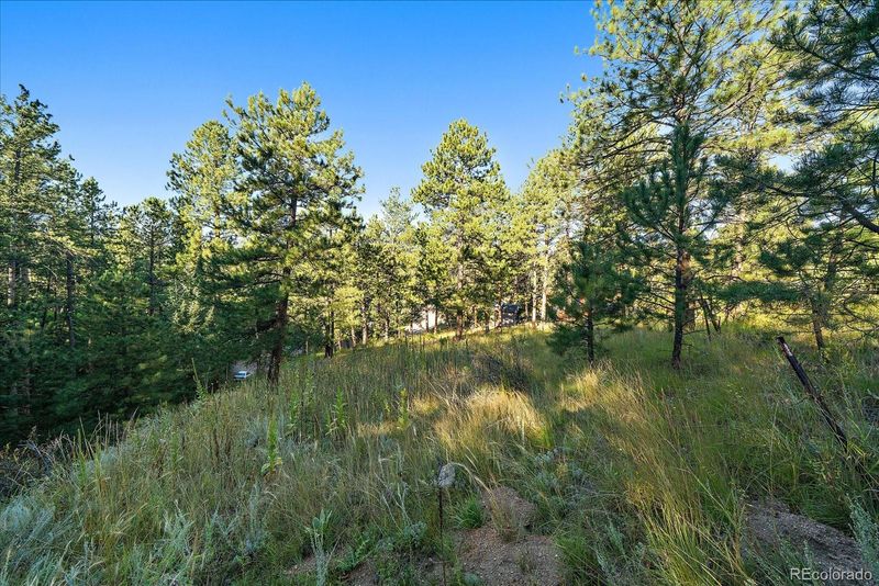 27406 Mountain Park Rd, Evergreen, CO 80439