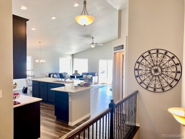 4523 Longmead Dr, Windsor, CO 80550