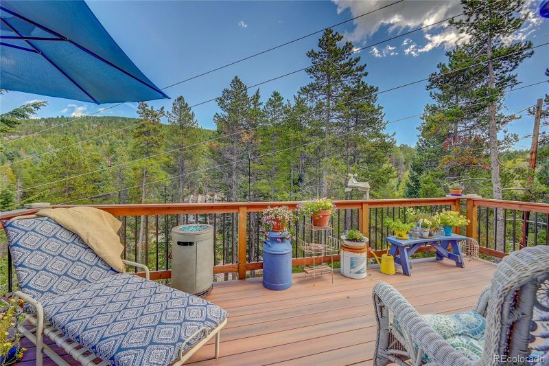 8859 Black Mountain Dr, Conifer, CO 80433