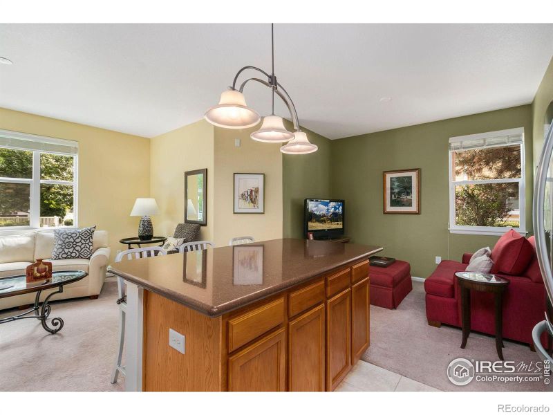 2035 Grays Peak Dr #101, Loveland, CO 80538