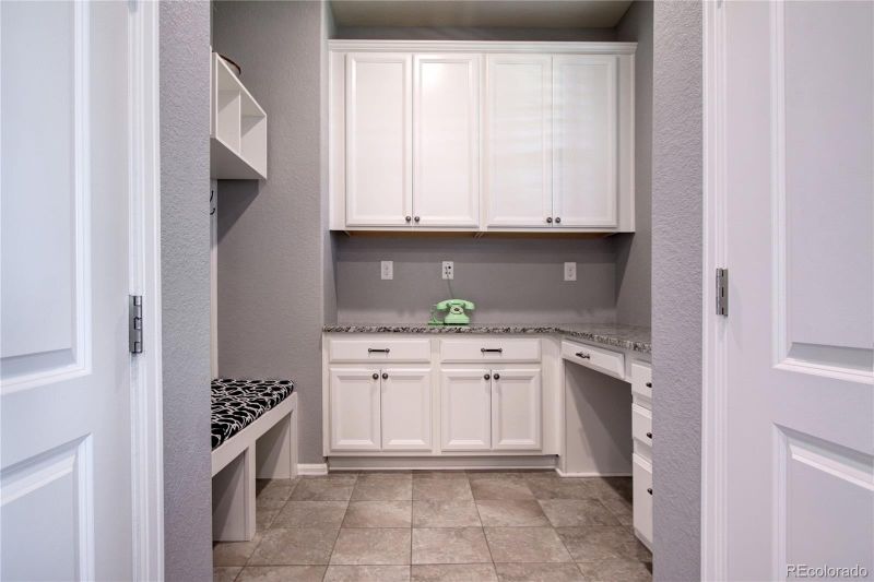 2547 Leafdale Cir, Castle Rock, CO 80109