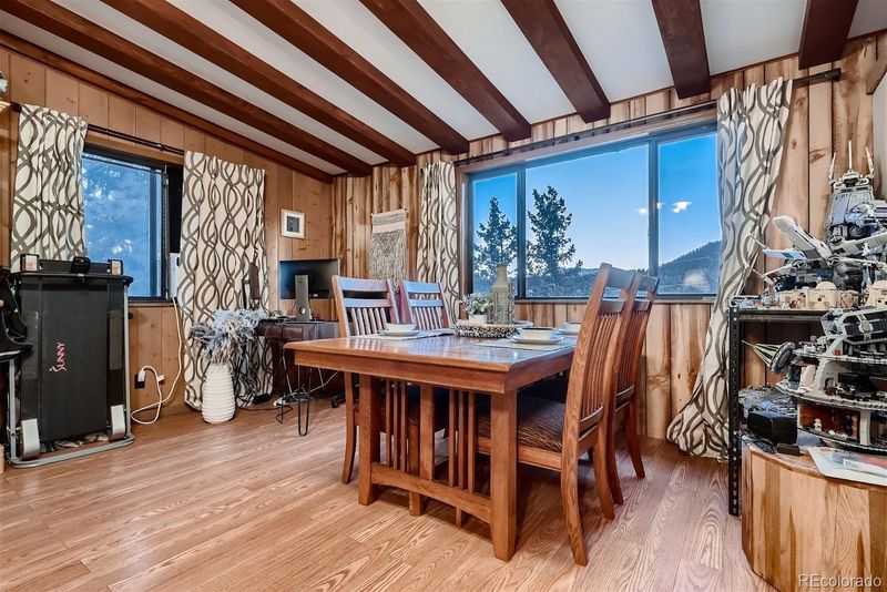 43 Homestead Rd, Bailey, CO 80421