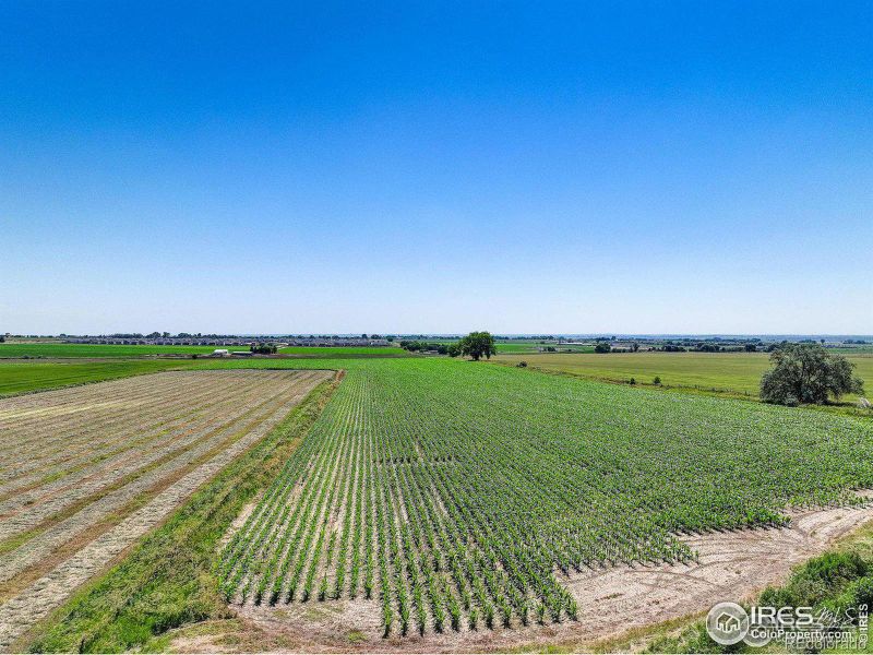 14504 County Road 3, Longmont, CO 80504