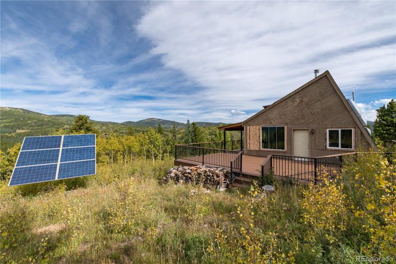 214 Fireweed Ln, Idaho Springs, CO 80452